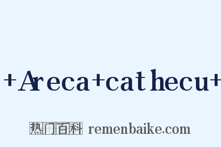 +Areca+cathecu+是什么意思的图片